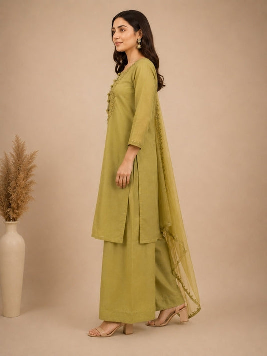 Solid Embroidered Straight Linen Set