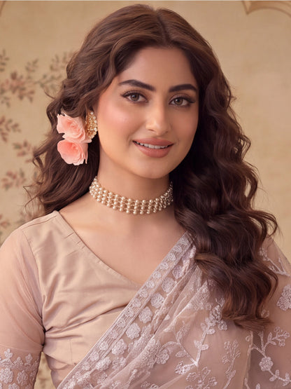 Cement Beige Embroidered Sheer Saree