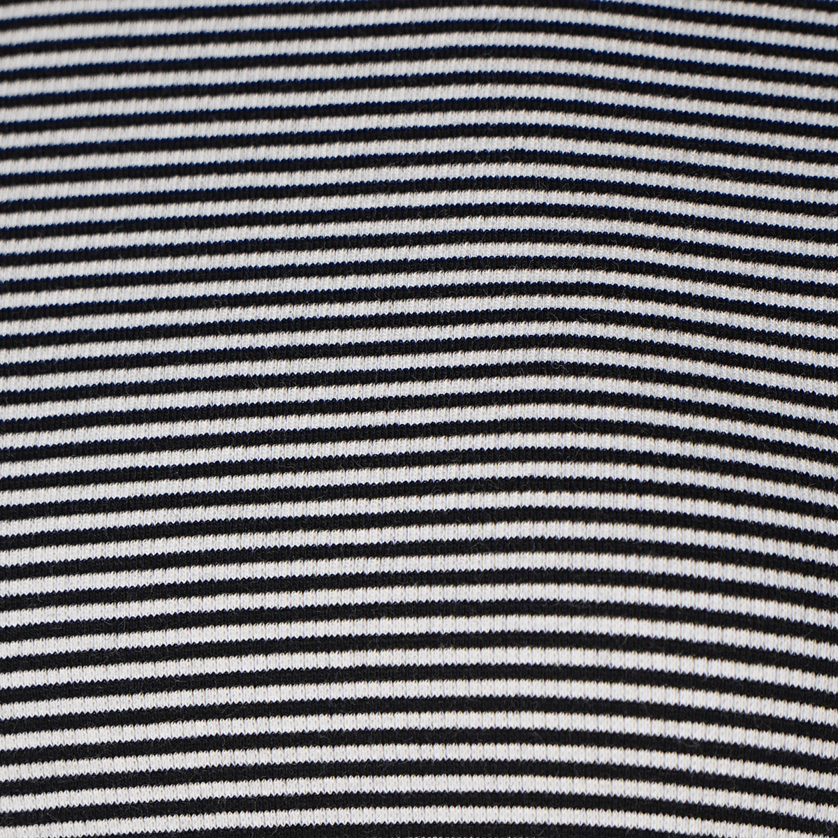 Striped Slim Fit Crop T-Shirt