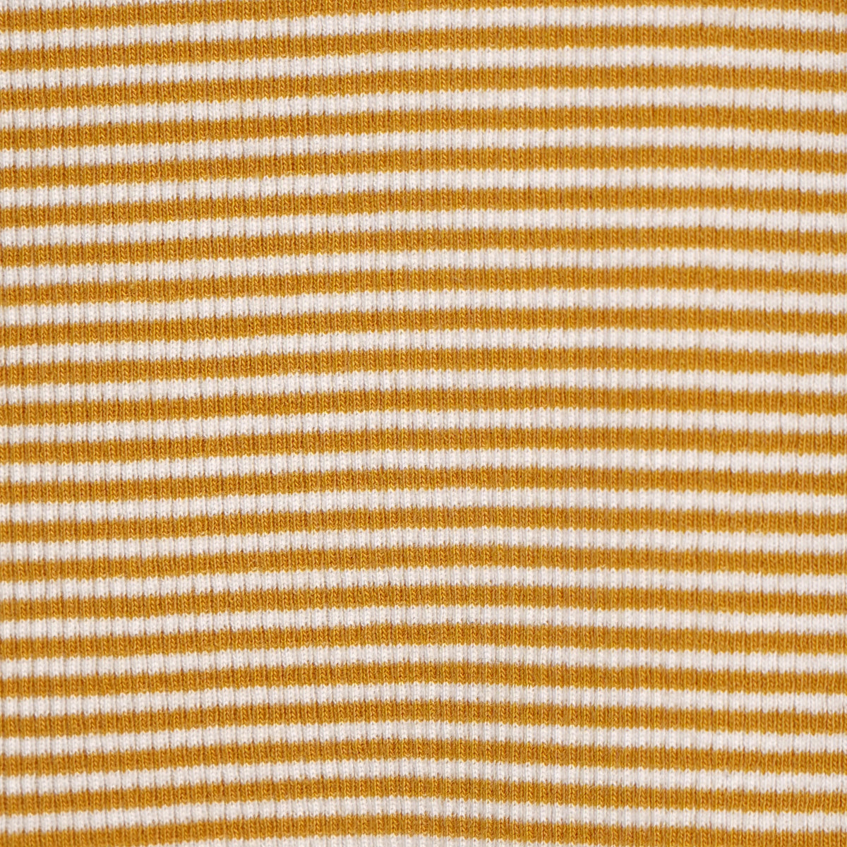 Striped Slim Fit Crop T-Shirt