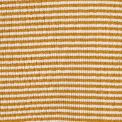 Striped Slim Fit Crop T-Shirt